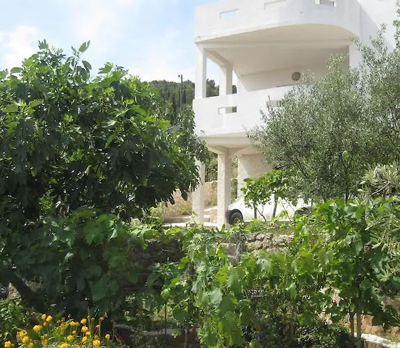 Apartmán Rosa *