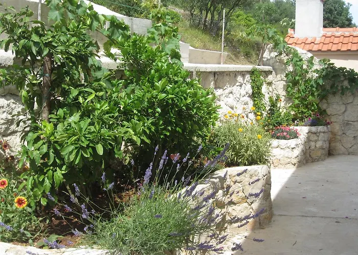 Apartmán Rosa *