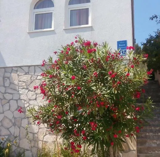 Apartmán Rosa *