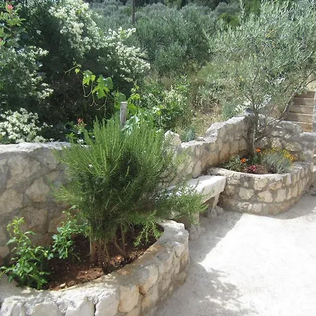 Apartman Rosa