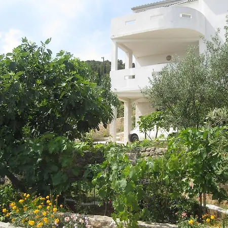 Appartement Rosa *