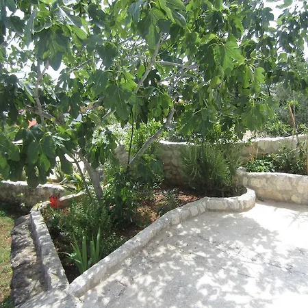 Apartman Rosa *