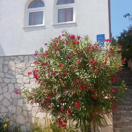 Apartman Rosa *