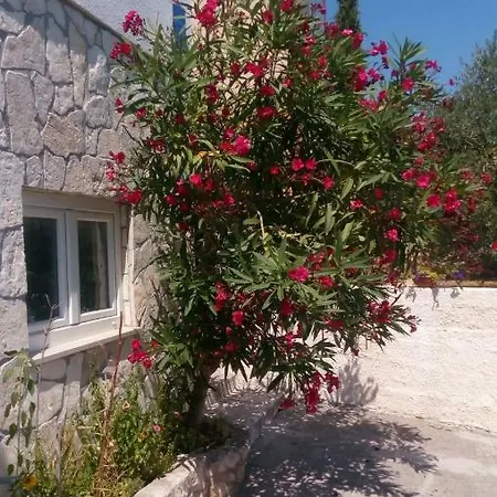 Appartement Rosa Preko