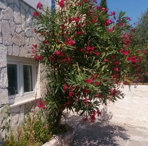 Apartmán Rosa Preko